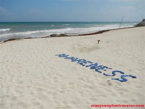 coccozella nude beach Search